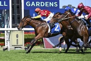 2025 Golden Slipper Promises Riveting Competition At Rosehill