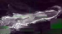 Ecuador frees survivor of strike on suspected drug sub, says no evidence of crime