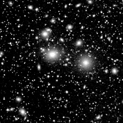 The Perseus Cluster of Galaxies