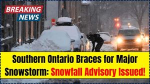 Major Winter Storm Brings Up To 30 Cm Of Snow To Southern Ontario