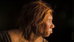 İnsanın Sağlığını Etkileyen Neandertal Genlerine Dair Yeni İpuçları