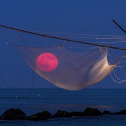 Balıkçı Ağıyla Ayı Yakalamak