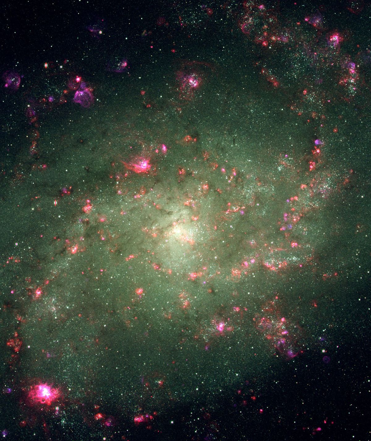 Elements of Nearby Spiral M33