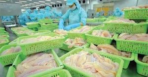 Nam Viet Corporation Faces Share Sales Amid Positive Growth