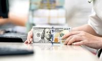 جدیدترین قیمت دلار امروز ۳۰ فروردین ۱۴۰۴؛ دلار افت کرد