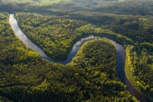 Global Mercury Levels Surge In Rivers Since Industrial Revolution