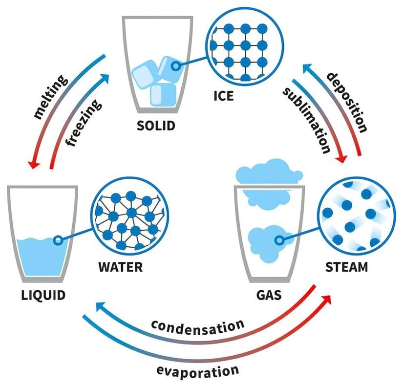 Bu diyagram, su örneğini kullanarak maddenin hallerinin döngüsünü göstermektedir. Oklar, maddenin hal değişim sürecinin adını göstermektedir.