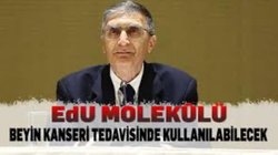 Prof. Dr. Aziz Sancar'dan EdU Molekülünü Beyin Kanseri Tedavisinde Kullanan Yöntem