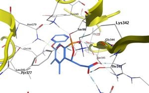 Noble Gases Induce Aromaticity Changes In Borole Structures