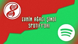 Evrim Ağacı Spotify ve iTunes'da: Podcastlerimizi Kaçırmayın!