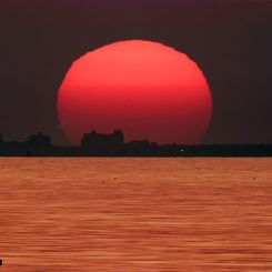 Sunset on a Golden Sea