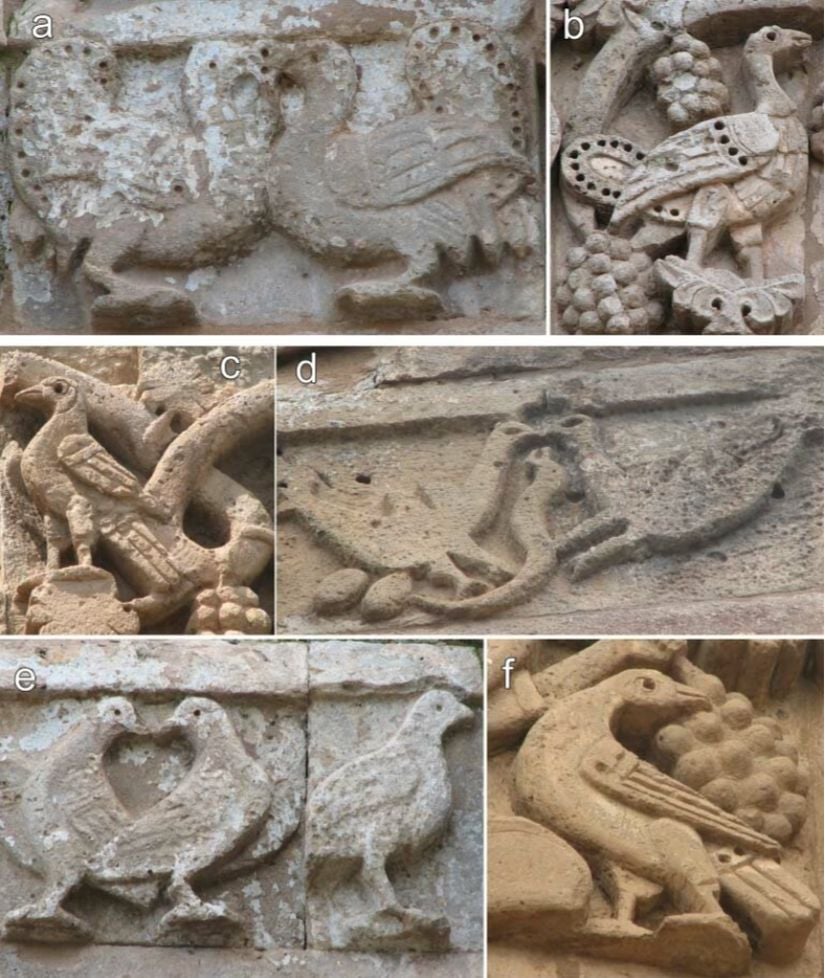 Akdamar Kilise'sindeki hayvan rölyefleri. Sırasıyla a, b) Otis tarda (toy kuşu) c, f) Larus armenicus (Van Gölü martısı), d) Streptopelia decaocto (gülen kumru)  e) Columba livia (kaya güvercini).