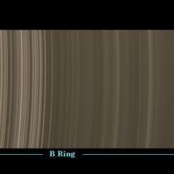 Ring Scan