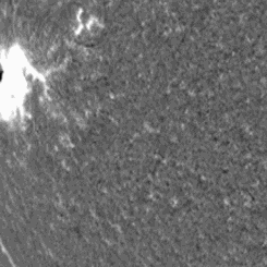 A Large Tsunami Shock Wave on the Sun