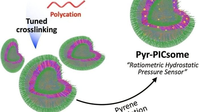 Ayarlanabilir Nanosensörler Su Basıncını Floresan Sinyallere Nasıl Dönüştürüyor?