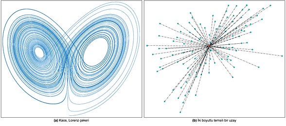 Kaos ve iki boyutlu uzay örneği