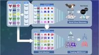 Bat organoid platform: revolutionizing zoonotic virus research and pandemic preparedness - Signal Transduction and Targeted Therapy