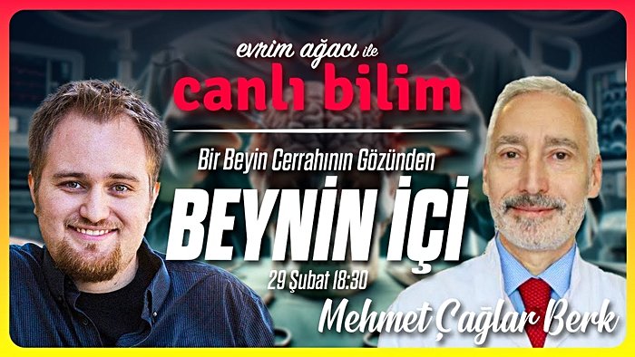 Bir Beyin Cerrahının Gözünden BEYNİN İÇİ! | Prof. Dr. Mehmet Çağlar Berk