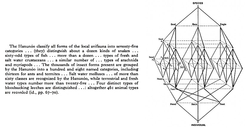 C. Lévi-Strauss’un “totemik operatör” adını verdiği düşünce modeli. Modelde hayvanlar, sadece kutsal varlıklar olarak değil, insanın dünyayı anlamlandırma çabasının birer aracı olarak yer alıyor. En tepede yer alan “türler” başlığı altında fok, ayı ve kartal gibi farklı hayvanlar sıralanmış. Her biri, baş, boyun ve ayaklar gibi kendi beden parçalarına ayrılmış. Bu parçalar arasında kurulan çizgiler, özünde insan zihninin doğayı nasıl sınıflara ayırdığını, nasıl benzerlikler ve karşıtlıklar kurduğunu anlatıyor. En alt noktadaysa birey yer alıyor. Yani bu karmaşık ağın sonunda, hayvanlardan yola çıkılarak kurulan düşünsel sistemin tam merkezinde yine insan duruyor. Lévi-Strauss’un da dediği gibi, insanlar hayvanlara onlar kutsal olduğu için değil, düşündürücü oldukları için yöneliyor. Çünkü hayvanlar, doğayı anlamlandırmak isteyen insan zihni için hem bir ayna hem de bir düzen kurma aracıdır.