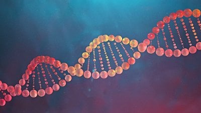 Kromozomları Halkalayan Moleküller, DNA’yı da Büküyor!