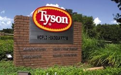 Tyson Foods, 'İklim Dostu' Et Etiketleri Nedeniyle Yeşil Yıkama Davasıyla Karşı Karşıya.