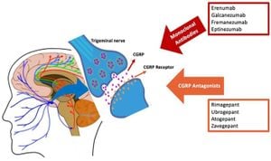 CGRP Shows Promise For Protecting Against Acute Pancreatitis