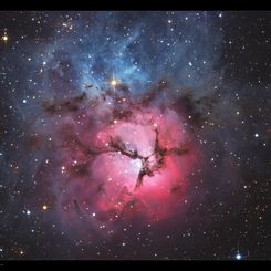  A Beautiful Trifid 