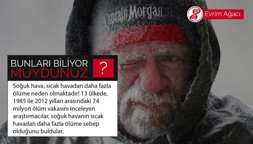 13 ülkede, 1985 ile 2012 yılları arasındaki 74 milyon ölüm vakasını inceleyen araştırmacılar, soğuk havanın sıcak havadan daha fazla ölüme sebep olduğunu buldular. Çalışmada 384 şehrin en uygun sıcaklığı tespit edildi, daha sonra bu şehirlerdeki günlük ölümlerin hava koşullarına bağlı olup olmadığı belirlendi. Sonuçta, soğuk havanın sıcak havadan 20 kat daha fazla ölüme sebebiyet verdiği bulundu. Ancak araştırma Orta Doğu ve Afrika ülkelerini kapsamadığı için her yerde aynı sonucun doğru olmayabileceğini belirtmeden geçmeyelim.