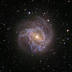 Spiral Galaxy M83: The Southern Pinwheel