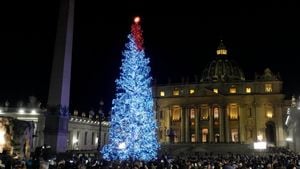 Vatican Christmas Tree Choice Sparks Backlash