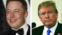 Tesla Tumbles As Elon Musk Forms America Party