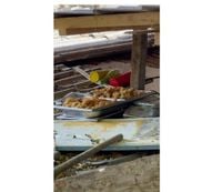 „O magazie unde cred că trăiesc balauri și dragoni“: VIDEO. Condiții de igienă șocante și abateri grave pe litoral, la Eforie Nord
