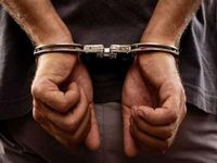 India provides assistance to wrongfully detained citizen in Qatar - The Tribune