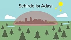 Kentsel Isı Adası Nedir? Nasıl Oluşur? Nasıl Önleyebiliriz?