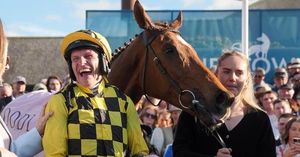 State Man Shines At Punchestown Festival Champion Hurdle