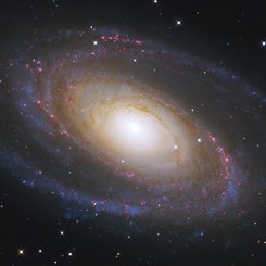 Messier 81