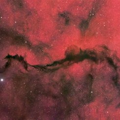 Yılancı'da Karanlık Bir Peçe