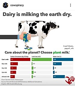 1 Litre İnek Sütü 628 Litre Su Tüketimini Gerektirir mi?