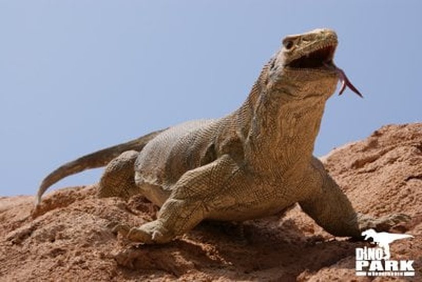 Hylonomus (3D Rekonstrüksiyon)