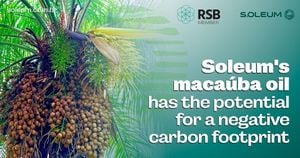 Macaúba Oilseed Shines As Future Biodiesel Source Amid Climate Woes