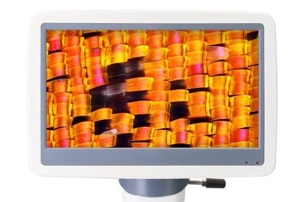 Levenhuk D95L LCD Dijital Mikroskop