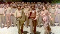 1° maggio Festa dei lavoratori, il messaggio del governatore Luca Zaia
