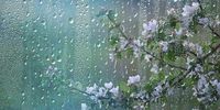Wetter morgen am Dienstag: Gewitter, Starkregen, Hagel - wer ist betroffen? | wetter.com