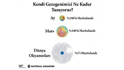 Okyanuslarımızın Çoğunu Tanımıyoruz!