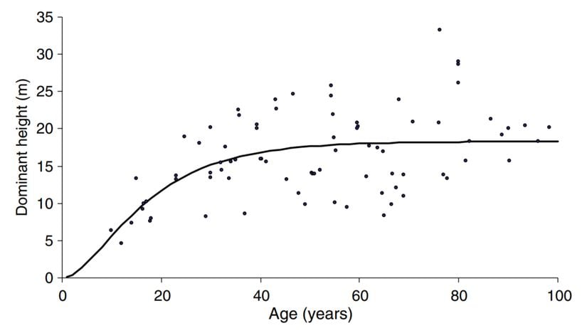 Suriye'de yetişen kızılçam ormanlarında yapılan bir çalışmada, yaş ile boy arasındaki ilişkiyi gösteren grafik
