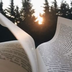 Okuduğum bilim kitapları daha doğrusu içerdiği bilgiler aklımda kalmıyor ne yapmalıyım?