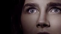 Who Is Amanda Knox? Here’s Everything You Need to Know