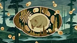 Biyolojinin Geleceği Olan Tahminsel Modeller: Faz Ayrışması ve 