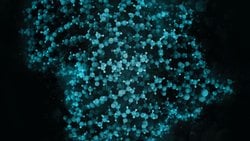 Matematiksel Evrime Genel Giriş