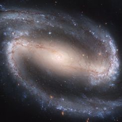  Barred Spiral Galaxy NGC 1300 